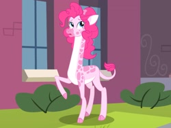 Size: 2816x2112 | Tagged: safe, artist:draymanor57, edit, edited screencap, part of a set, screencap, pinkie pie, giraffe, equestria girls, g4, cursed, female, frown, giraffe pie, giraffied, high res, i can't believe it's not badumsquish, looking up, open mouth, show accurate, solo, species swap, transformation