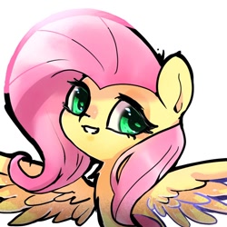 Size: 768x768 | Tagged: safe, artist:tomizawa96, fluttershy, pegasus, pony, g4, bust, chest fluff, female, looking at you, mare, portrait, simple background, smiling, solo, spread wings, three quarter view, white background, wings