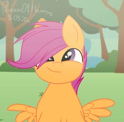 Size: 1080x1064 | Tagged: safe, artist:princessesmeraldaofficial, scootaloo, pegasus, pony, g4, bust, cute, cutealoo, female, filly, outdoors, signature, smiling, solo