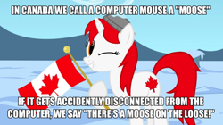Size: 900x505 | Tagged: safe, artist:bootsyslickmane, oc, oc only, oc:canadance, pony, canada, caption, flag, image macro, nation ponies, ponified, pun, snow, text