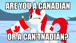 Size: 900x506 | Tagged: safe, artist:bootsyslickmane, oc, oc only, oc:canadance, pony, canada, caption, flag, image macro, nation ponies, ponified, pun, snow, solo, text