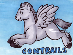 Size: 628x469 | Tagged: safe, artist:hollyann, oc, oc only, pegasus, pony, male, pegasus oc, signature, solo, stallion, traditional art, unshorn fetlocks, wings