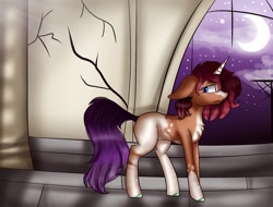 Size: 1080x822 | Tagged: safe, artist:rxndxm.artist, oc, oc only, pony, unicorn, chest fluff, crescent moon, frown, horn, indoors, moon, night, solo, stars, transparent moon, unicorn oc