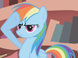 Size: 531x396 | Tagged: safe, screencap, rainbow dash, pegasus, pony, dragonshy, g4, season 1, cropped, rainbow dash salutes, salute, solo