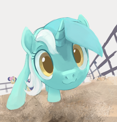 Size: 1250x1299 | Tagged: safe, artist:dotkwa, bon bon, lyra heartstrings, sweetie drops, earth pony, pony, unicorn, g4, :3, close-up, closed mouth, colored pupils, curious, cute, female, fence, horses doing horse things, looking at you, lyrabetes, mare, ponified animal photo, simple background, solo focus, white background, wide eyes
