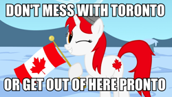 Size: 900x506 | Tagged: safe, artist:bootsyslickmane, oc, oc only, oc:canadance, pony, canada, caption, female, flag, hat, image macro, looking at you, mare, nation ponies, one eye closed, ponified, pun, smiling, snow, solo, text, toronto, wink