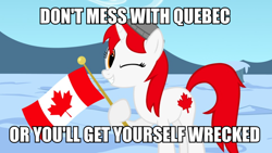 Size: 900x506 | Tagged: safe, artist:bootsyslickmane, oc, oc only, oc:canadance, pony, canada, caption, female, flag, hat, image macro, looking at you, mare, nation ponies, one eye closed, ponified, pun, smiling, snow, solo, text, wink