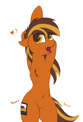 Size: 1500x2200 | Tagged: safe, artist:ponynamedmixtape, oc, oc only, oc:cassette, oc:mixtape, semi-anthro, arm hooves, rule 63, simple background, smiling, solo, transparent background