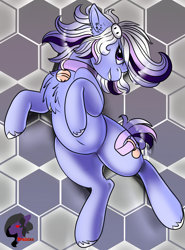Size: 2016x2728 | Tagged: safe, artist:brainiac, derpibooru exclusive, oc, oc only, oc:whiskey lullaby, cat, cat pony, original species, bell, bell collar, chest fluff, collar, female, high res, mare, pregnant, solo, unshorn fetlocks