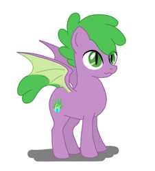 Size: 1080x1196 | Tagged: safe, artist:namaenonaipony, spike, dracony, dragon, hybrid, pony, g4, male, ponified, ponified spike, simple background, solo, species swap, stallion, vector, white background, winged spike, wings