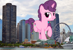 Size: 1920x1302 | Tagged: safe, artist:jhayarr23, edit, editor:jaredking779, vector edit, sugar belle, pony, unicorn, g4, chicago, female, giant pony, giant unicorn, giantess, highrise ponies, illinois, irl, macro, mare, mega giant, photo, ponies in real life, story included, vector
