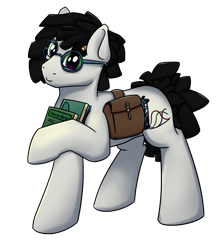 Size: 1660x1860 | Tagged: safe, artist:luther, oc, oc only, oc:gear crunch, earth pony, pony, 2021 community collab, derpibooru community collaboration, bag, male, saddle bag, simple background, smiling, solo, standing, transparent background
