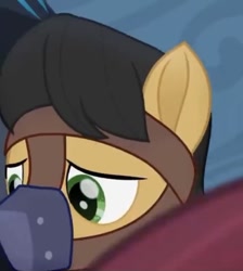 Size: 566x631 | Tagged: safe, screencap, golden delicious, pony, g4, my little pony: the movie, apple family member, gag, male, muzzle gag, stallion