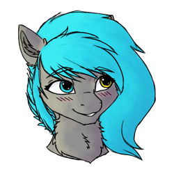 Size: 3000x3000 | Tagged: safe, artist:sorajona, oc, oc only, oc:sorajona, oc:sorajona darkwing, pegasus, pony, g5, my little pony: a new generation, adorable face, blushing, bust, chest fluff, cute, eyebrows, grey fur, grin, heterochromia, high res, portrait, scene hair, simple background, small ears, smiling, solo, transparent background, turquoise hair