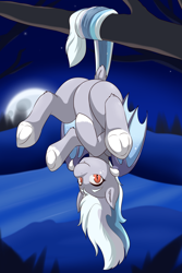 Size: 2000x3000 | Tagged: safe, artist:cainesart, oc, oc only, oc:evening chill, bat pony, pony, bat pony oc, featureless crotch, female, hanging from tree, high res, looking at you, mare, moon, night, smiling, smiling at you, solo, upside down