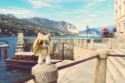 Size: 1024x682 | Tagged: safe, artist:xeto_de, oc, oc:wingblossom, irl, italy, photo, plushie