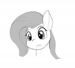 Size: 2129x1953 | Tagged: safe, artist:flutterfigle, fluttershy, pegasus, pony, g4, bust, monochrome, simple background, solo, white background