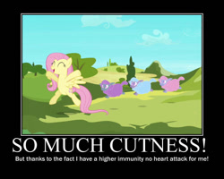 Size: 750x600 | Tagged: safe, artist:crossoverprincess, edit, edited screencap, screencap, fluttershy, pegasus, pony, sheep, g4, season 3, the crystal empire, bipedal, cute, ewe, eyes closed, female, misspelling, motivational poster, shyabetes, the ballad of the crystal empire, tiny ewes, weapons-grade cute