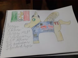 Size: 4128x3096 | Tagged: safe, artist:super-coyote1804, pony, checo perez, colored pencil drawing, formula 1, mexican flag, mexico, ponified, sergio perez, solo, traditional art