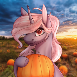 Size: 4000x4000 | Tagged: safe, artist:pokaparida, oc, oc only, pony, unicorn, absurd resolution, female, mare, pumpkin, solo