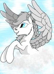 Size: 1275x1752 | Tagged: safe, artist:silbernepegasus, oc, oc only, pegasus, pony, solo