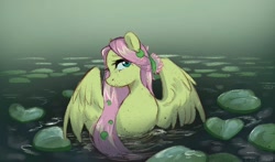 Size: 2048x1207 | Tagged: safe, artist:ijustmari, fluttershy, pegasus, pony, g4, aside glance, bust, female, lilypad, looking at you, mare, partially submerged, solo, spread wings, turned head, water, wings