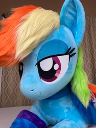 Size: 3024x4032 | Tagged: safe, artist:qtpony, rainbow dash, pony, g4, clothes, irl, life size, photo, plushie, rainbow socks, socks, solo, striped socks