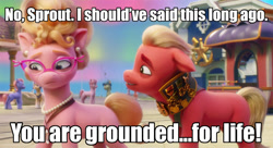 Size: 1035x563 | Tagged: safe, edit, edited screencap, screencap, phyllis cloverleaf, sprout cloverleaf, earth pony, pony, g5, my little pony: a new generation, spoiler:my little pony: a new generation, aurora borealis, caption, cropped, emperor sprout, grounded, image macro, male, maretime bay, medal, stallion, text