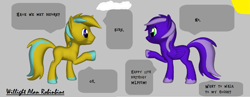 Size: 1703x662 | Tagged: safe, artist:superroblox00, oc, oc only, oc:lilla timma, oc:tyrone sima, pegasus, pony, unicorn, 3d, cloud, female, horn, male, mlp fim's eleventh anniversary, pegasus oc, signature, sun, text, unicorn oc, wings