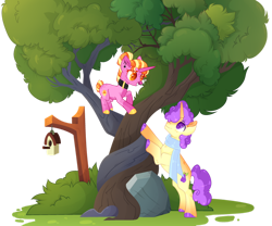 Size: 1280x1066 | Tagged: safe, artist:lilywolfpie, luster dawn, oc, oc:pear jam, pony, g4, alternate hairstyle, bird house, clothes, collar, intertwined trees, offspring, parent:big macintosh, parent:sugar belle, parents:sugarmac, rock, scarf, simple background, transparent background, tree