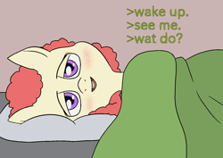 Size: 1414x1000 | Tagged: safe, artist:happy harvey, twist, earth pony, pony, g4, bed, blanket, blushing, female, filly, greentext, lidded eyes, looking at you, lying down, meme, on bed, phone drawing, pillow, solo, text, what do