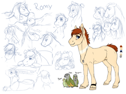 Size: 1600x1205 | Tagged: safe, artist:royvdhel-art, oc, oc only, oc:romy, bird, earth pony, pony, bust, earth pony oc, female, jewelry, mare, necklace, partial color, reference sheet, simple background, smiling, story included, unshorn fetlocks, white background