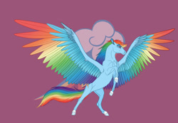 Size: 1280x887 | Tagged: safe, artist:soaringdragonpl, rainbow dash, horse, pegasus, pony, g4, colored wings, cutie mark background, female, gradient wings, hoers, mare, multicolored wings, rainbow wings, rearing, solo, spread wings, wings