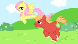 Size: 929x533 | Tagged: artist needed, safe, big macintosh, fluttershy, earth pony, pegasus, pony, g4, female, flying, looking at each other, male, mare, missing accessory, running, ship:fluttermac, shipping, smiling, smiling at each other, stallion, straight, windswept mane