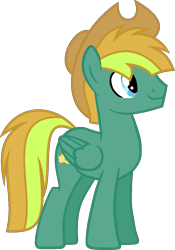 Size: 753x1078 | Tagged: safe, artist:pegasski, oc, oc only, oc:texton, pegasus, pony, g4, hat, male, simple background, solo, stallion, transparent background