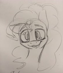 Size: 3120x3579 | Tagged: safe, artist:packy paca, pinkie pie, earth pony, pony, g4, bust, high res, looking at you, monochrome, pencil drawing, photo, ponk, smiling, solo, traditional art