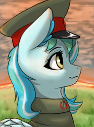 Size: 3120x4200 | Tagged: safe, artist:闪电_lightning, oc, oc only, pegasus, pony, equestria at war mod