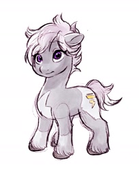 Size: 1364x1669 | Tagged: safe, artist:ruri0824tby, oc, oc only, oc:silver bolt, earth pony, pony, g4, g5, coat markings, female, g4 to g5, mare, simple background, solo, unshorn fetlocks, white background