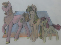 Size: 1280x950 | Tagged: safe, artist:unknownfilters, apple bloom, applejack, big macintosh, earth pony, pony, g4, female, filly, male, mare, siblings, stallion, traditional art