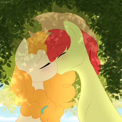 Size: 2200x2200 | Tagged: safe, artist:cottonaime, bright mac, pear butter, earth pony, pony, g4, blushing, female, high res, kiss on the lips, kissing, male, ship:brightbutter, shipping, straight