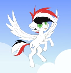 Size: 880x900 | Tagged: safe, artist:pollynia, oc, oc only, oc:damien de fidel, pegasus, pony, chest fluff, cloud, colored, ear fluff, flat colors, flying, simple background, sky