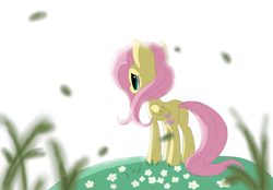 Size: 1024x714 | Tagged: safe, artist:kikuthefoxofficial, fluttershy, pegasus, pony, g4, backlighting, female, flower, folded wings, grass, looking away, mare, melancholy, outdoors, rear view, solo, standing, wings