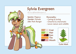 Size: 3333x2356 | Tagged: safe, artist:dandy, oc, oc only, oc:sylvia evergreen, pegasus, pony, blushing, braid, braided pigtails, chest fluff, cute, freckles, hair tie, high res, looking at you, ocbetes, open mouth, reference sheet, solo, white belly, wings