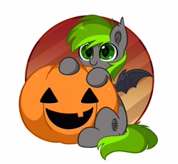 Size: 3670x3387 | Tagged: safe, artist:kittyrosie, part of a set, oc, oc only, bat pony, pony, bat pony oc, commission, cute, halloween, high res, holiday, ocbetes, pumpkin, simple background, solo, starry eyes, white background, wingding eyes, ych result
