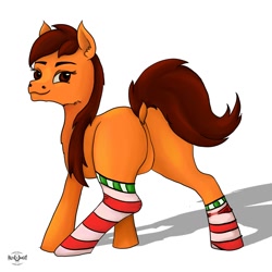 Size: 1280x1280 | Tagged: safe, artist:palettenight, oc, oc only, oc:palettenight, earth pony, pony, butt, clothes, looking at you, looking back, plot, shadow, simple background, socks, solo, striped socks, tail, white background
