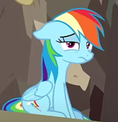 Size: 400x413 | Tagged: safe, screencap, rainbow dash, pegasus, pony, daring done?, g4, breaking the fourth wall, cropped, female, solo