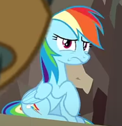 Size: 400x413 | Tagged: safe, screencap, rainbow dash, pegasus, pony, daring done?, g4, breaking the fourth wall, cropped, female, looking back, rainbow dash is best facemaker, raised hoof, solo