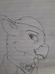 Size: 3000x4000 | Tagged: safe, artist:callsign-echo, artist:mustaphatr, oc, oc only, oc:ferdinand dawnclaw, griffon, equestria at war mod, clothes, iron cross, lined paper, looking at you, solo, toothpick, traditional art