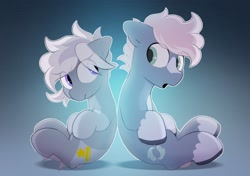 Size: 2064x1457 | Tagged: safe, artist:mochi_nation, oc, oc:silver bolt, oc:water socks, earth pony, pony, back to back, coat markings, duo, eye clipping through hair, female, looking at each other, looking back, male, mare, sitting, socks (coat markings), stallion
