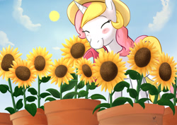 Size: 2046x1447 | Tagged: safe, artist:foxhatart, oc, oc only, oc:taffy, pony, unicorn, female, flower, hat, mare, solo, sunflower